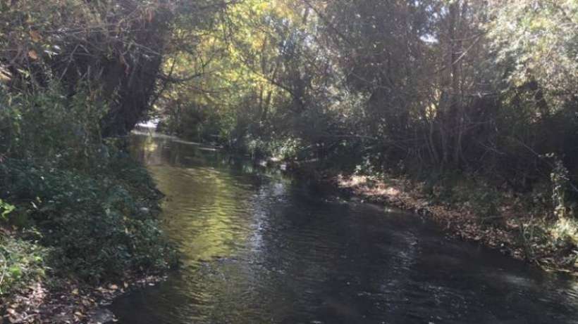 Doğayı katledecek maden ocağına onay verildi