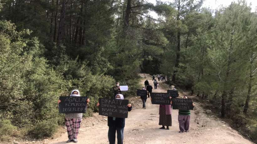 EGEÇEP: “Akbelen Ormanı’ndaki kesimi derhal durdurun”