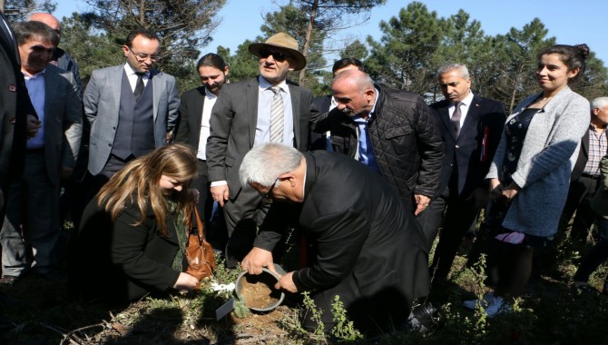 Kartal Aydos Ormanı’na 200 fıstık çamı dikildi