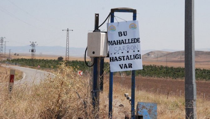 Sağlık meslek örgütlerinden ‘şarbon’ konusunda hükümete şeffaflık çağrısı