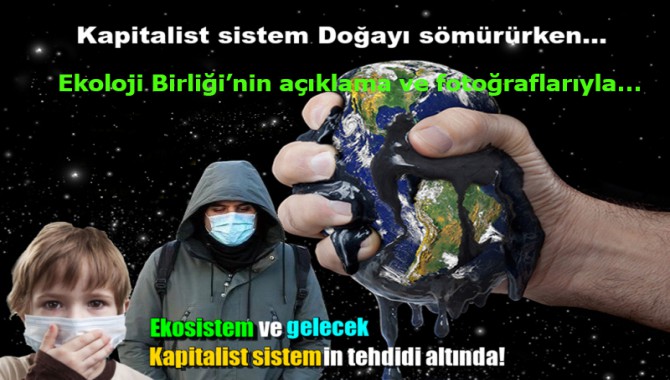 Salgının asıl nedeni doğal yaşama yapılan müdahaleler...Kaynağı ise kapitalist sistem !